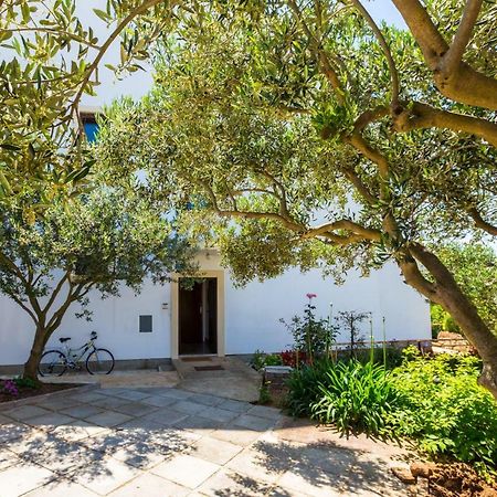 Adelia Apartment Mali Lošinj Екстериор снимка
